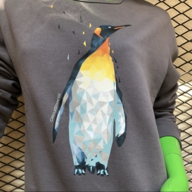 Pinguine grey crew neck sweater